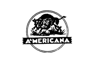 A & MERICANA