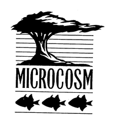 MICROCOSM