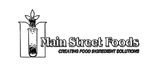 MAIN STREET FOODS