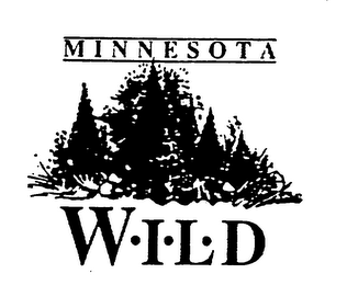 MINNESOTA WILD