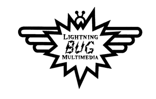 LIGHTNING BUG MULTIMEDIA