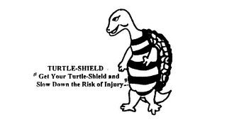 TURTLE-SHIELD "GET YOUR TURTLE-SHIELD AND SLOW DOWN THE RISK OF INJURY..."