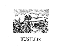 BUSILLIS VIOGNIER IN DIEBUS ILLIS