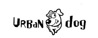 URBAN DOG