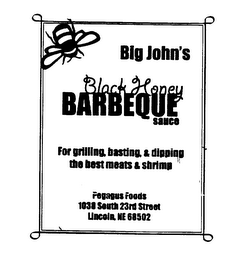 BIG JOHN'S BLACK HONEY BARBEQUE SAUCE FOR GRILLING, BASTING & DIPPING THE BEST MEATS & SHRIMP