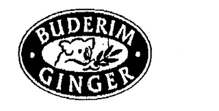 BUDERIM GINGER