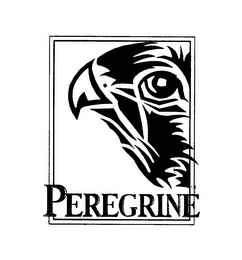 PEREGRINE