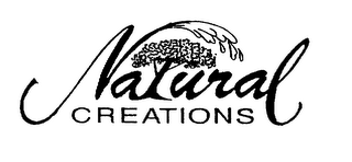 NATURAL CREATIONS