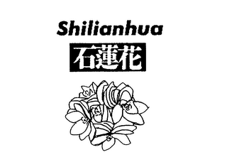 SHILIANHUA