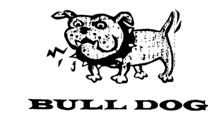 BULL DOG