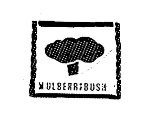 MULBERRIBUSH