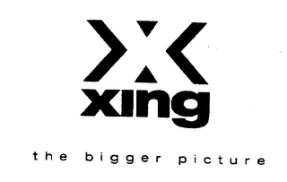 X XING THE BIGGER PICTURE