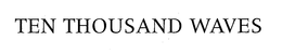 TEN THOUSAND WAVES, INC.