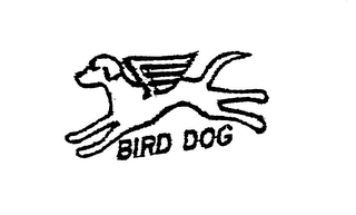 BIRD DOG