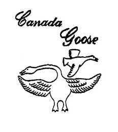 CANADA GOOSE