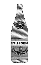 S.PELLEGRINO FROM THE FAMOUS SOURCE IN THE ITALIAN