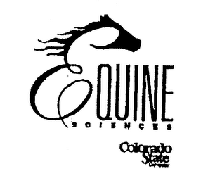 EQUINE SCIENCE COLORADO STATE UNIVERSITY