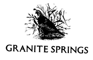 GRANITE SPRINGS