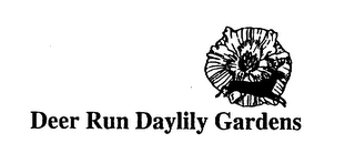 DEER RUN DAYLILY GARDENS