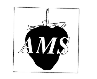AMS
