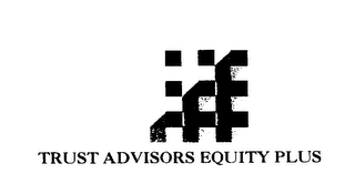 TRUST ADVISORS EQUITY PLUS