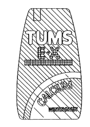 TUMS E X CALCIUM WINTERGREEN