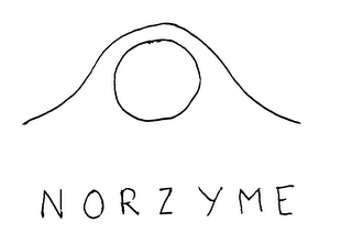 NORZYME