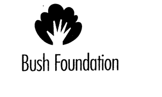 BUSH FOUNDATION