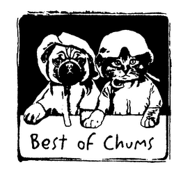 BEST OF CHUMS