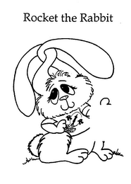 ROCKET THE RABBIT