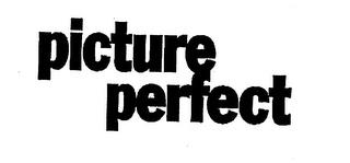 PICTURE PERFECT