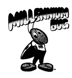 MILLENNIUM BUG