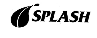 SPLASH