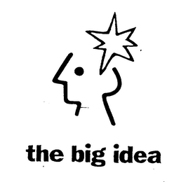 THE BIG IDEA