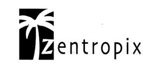 ZENTROPIX