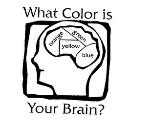 WHAT COLOR IS YOUR BRAIN? ORANGE YELLOW