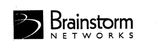 BRAINSTORM NETWORKS