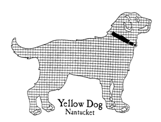 YELLOW DOG NANTUCKET