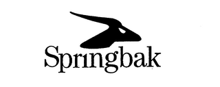 SPRINGBAK