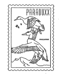 PARADUXX MALLARDS