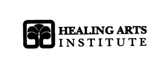 HEALING ARTS INSTITUTE