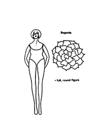 BEGONIA - FULL, ROUND FIGURE