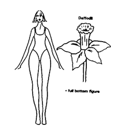 DAFFODIL - FULL BOTTOM FIGURE