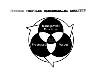 SUCCESS PROFILES BENCHMARKING ANALYSIS MANAGEMENT FUNCTIONS PROCESSES VALUES BEST PRACTICES