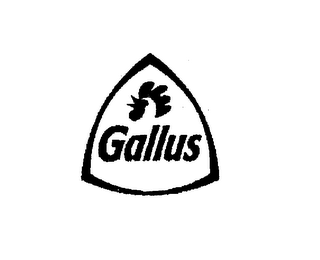 GALLUS