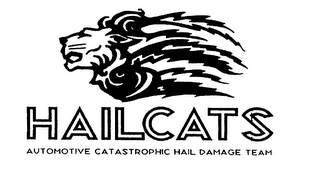 HAILCATS AUTOMOTIVE CATASTROPHIC HAIL DAMAGE TEAM