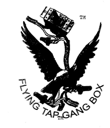 FLYING TAP GANG BOX