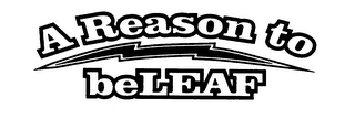 A REASON TO BELEAF