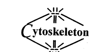 CYTOSKELETON