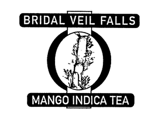 BRIDAL VEIL FALLS MANGO INDICA TEA